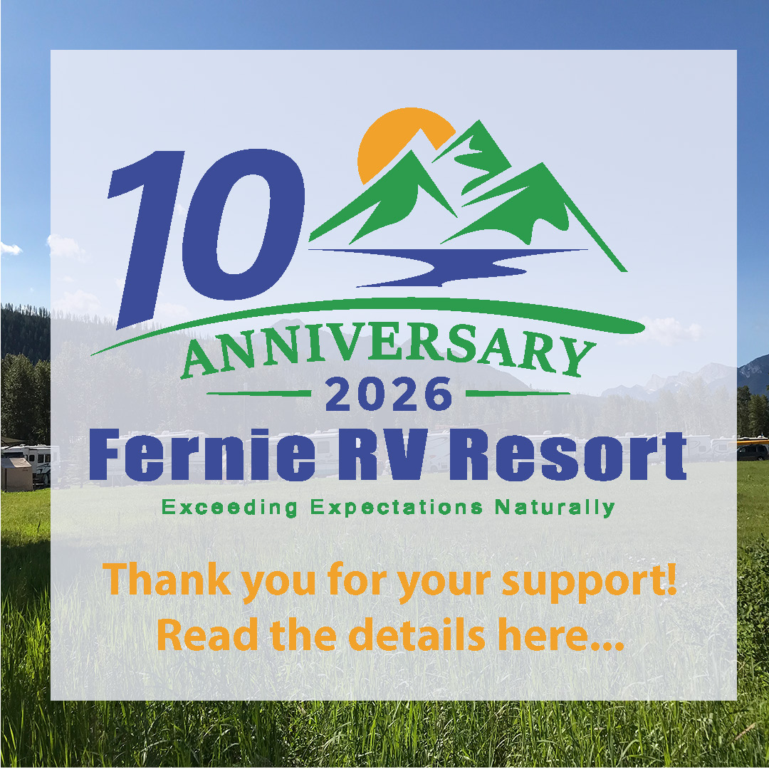 10th Anniversary