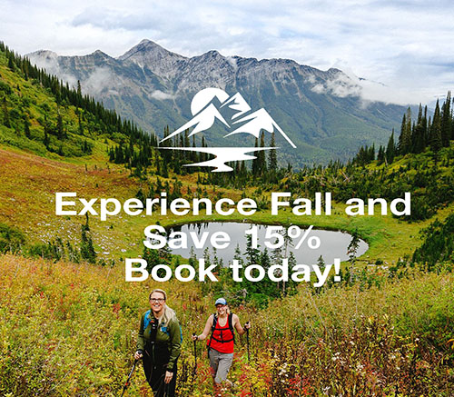 Fall Save 15%